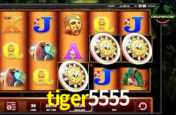 Descubra a Essência do tiger5555: Nossa História e Compromissos