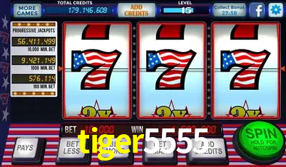 A Experiência Imersiva dos Cassinos Ao Vivo no tiger5555