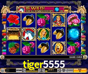 Descubra a Magia dos Jogos de Arcade no tiger5555