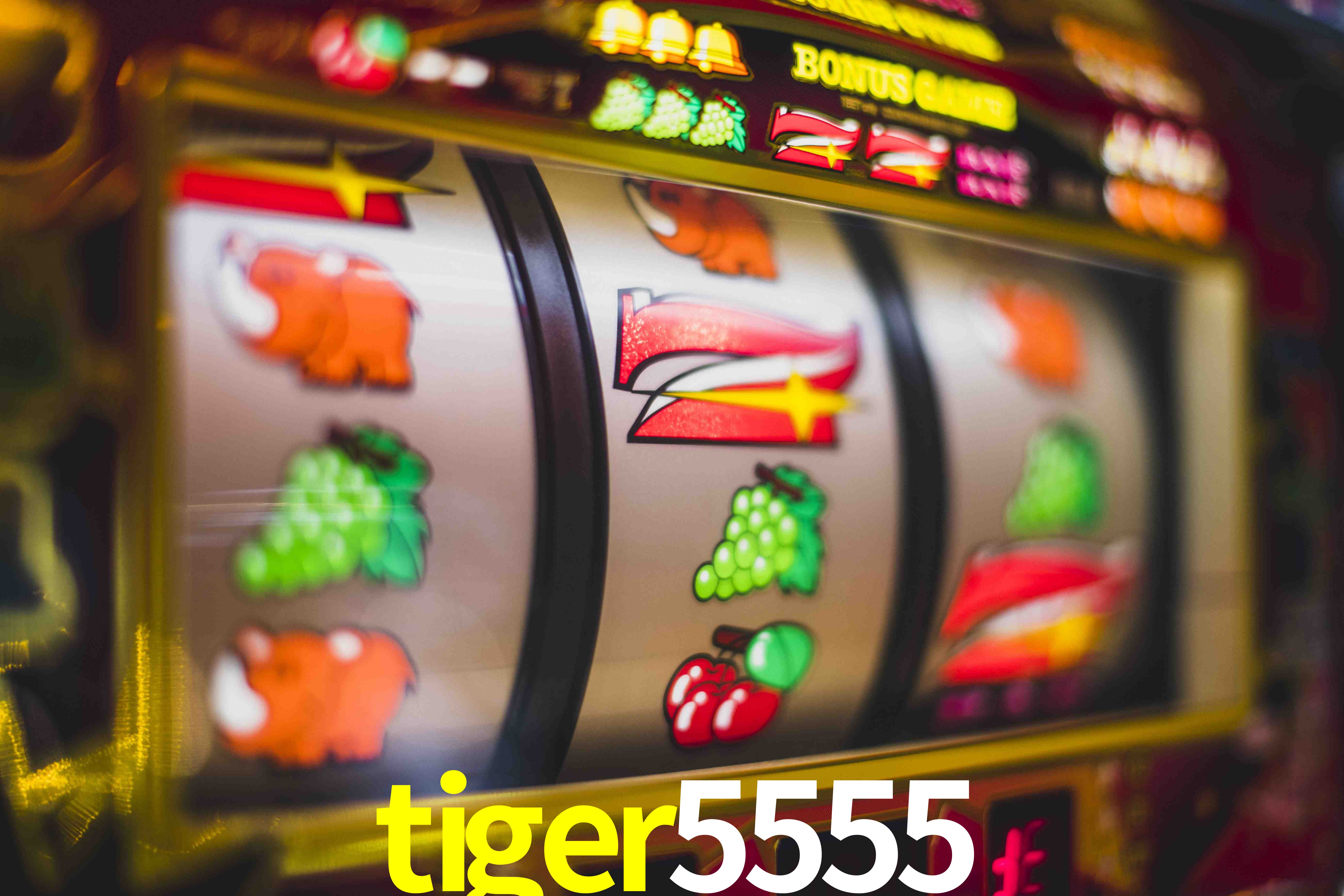 Crash Games Statistics tiger5555